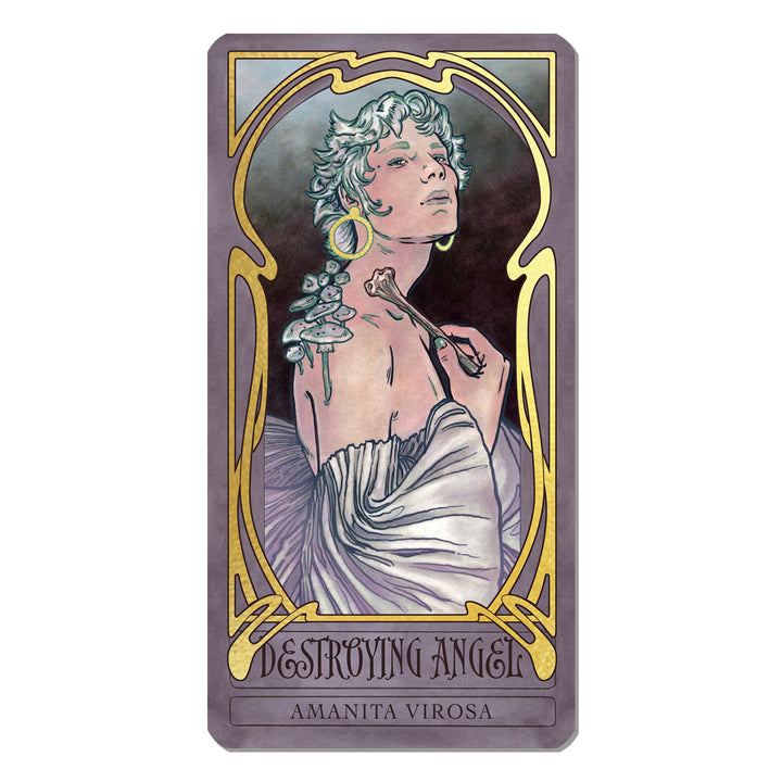 Lady Stirling's Wicked Garden Oracle Signed Edition